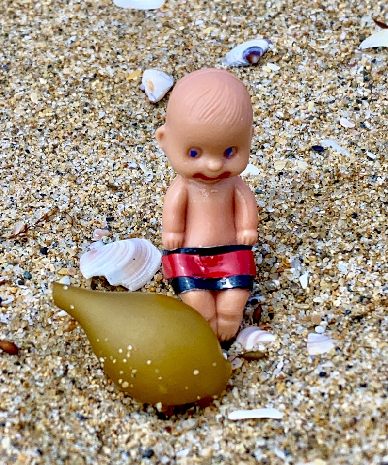 Brutus Baby and the Seashells 9